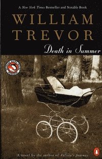 bokomslag Death In Summer