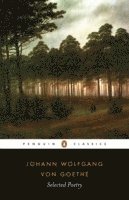 Goethe, David Luke - Selected Poetry, Häftad