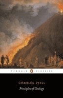 Charles Lyell, James Secord, James A. Secord, James A Secord - Principles of Geology, Häftad
