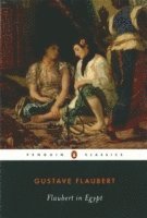 bokomslag Flaubert in Egypt