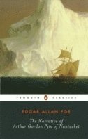 Edgar Allan Poe - Narrative of Arthur Gordon Pym of Nantucket, Häftad