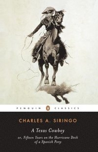 bokomslag A Texas Cowboy: Or, Fifteen Years on the Hurricane Deck of a Spanish Pony
