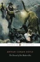 Arthur Conan Doyle, Christopher Frayling - Hound of the Baskervilles, Häftad
