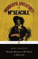 bokomslag Wonderful Adventures of Mrs Seacole in Many Lands