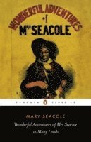 Wonderful Adventures of Mrs Seacole in Many Lands 1
