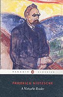 Friedrich Nietzsche - Nietzsche Reader, Häftad
