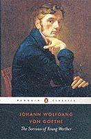 Johann Wolfgang von Goethe - Sorrows of Young Werther, Häftad