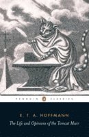 E.T.A. Hoffmann, E. T. a. Hoffmann, E T a Hoffmann - Life and Opinions of the Tomcat Murr, Häftad