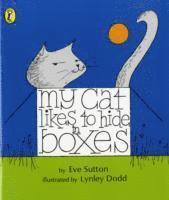 My Cat Likes to Hide in Boxes