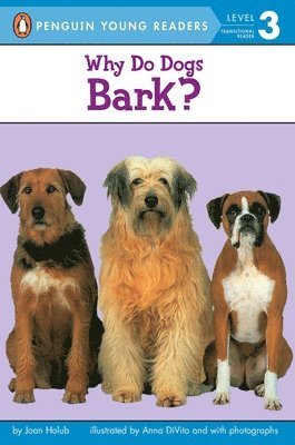 Why Do Dogs Bark? 1