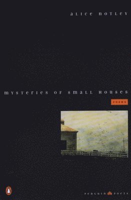 bokomslag Mysteries Of Small Houses