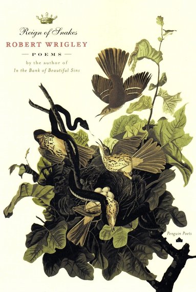 Robert Wrigley - Reign of Snakes, Häftad