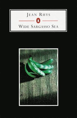 Jean Rhys, Hilary Jenkins - Wide Sargasso Sea, Häftad