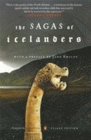 Jane Smiley, Jane Smiley - Sagas of the Icelanders, Häftad