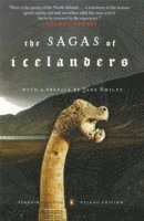 bokomslag The Sagas of the Icelanders