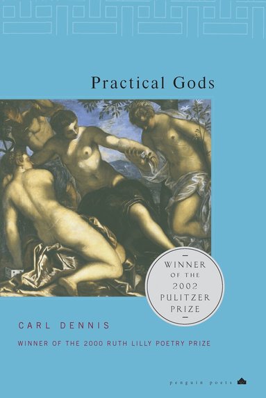 Carl Dennis - Practical Gods, Häftad