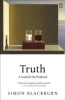 bokomslag Truth: A Guide for the Perplexed