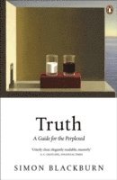 bokomslag Truth: a guide for the perplexed