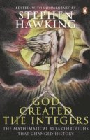 Stephen Hawking - God Created the Integers, Häftad