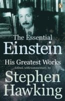 Essential Einstein