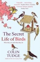 bokomslag The Secret Life of Birds
