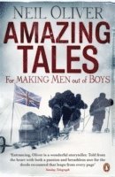 bokomslag Amazing Tales for Making Men out of Boys