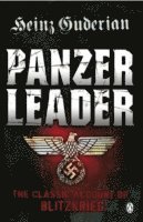 Panzer Leader 1
