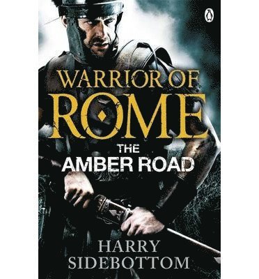 bokomslag Warrior of Rome VI: The Amber Road