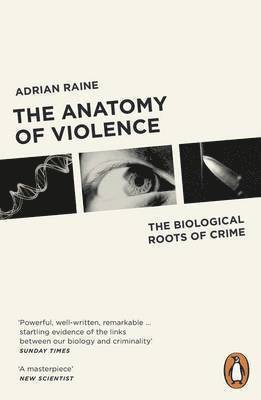 bokomslag The Anatomy of Violence