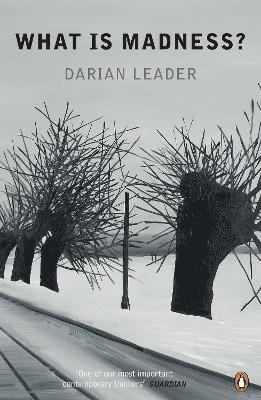 Darian Leader - What is Madness?, Häftad