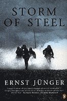Ernst Junger - Storm of Steel, Häftad