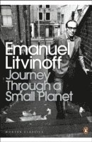 bokomslag Journey Through a Small Planet