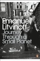 bokomslag Journey Through a Small Planet
