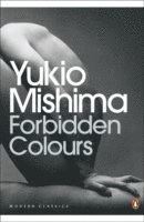 bokomslag Forbidden Colours