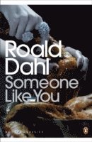 bokomslag Someone Like You