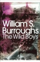 bokomslag The Wild Boys