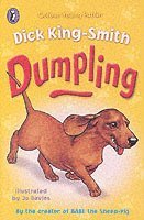 bokomslag Dumpling