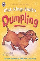 Dick King-Smith - Dumpling, Häftad
