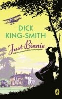 Dick King-Smith - Just Binnie, Häftad