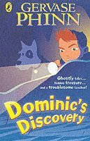 bokomslag Dominic's Discovery