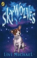 Livi Michael - Sky Wolves, Häftad