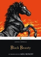 bokomslag Black Beauty