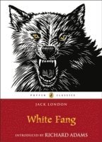 bokomslag White Fang