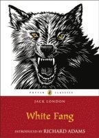 White Fang 1