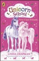 bokomslag Unicorn School: First Class Friends