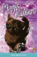 bokomslag Magic Kitten: Picture Perfect