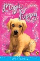 Magic Puppy: A New Beginning 1