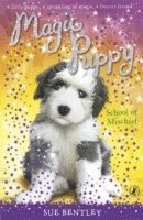 Magic Puppy: School of Mischief 1