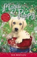 bokomslag Magic Puppy: Snowy Wishes