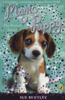 Magic Puppy: The Perfect Secret 1